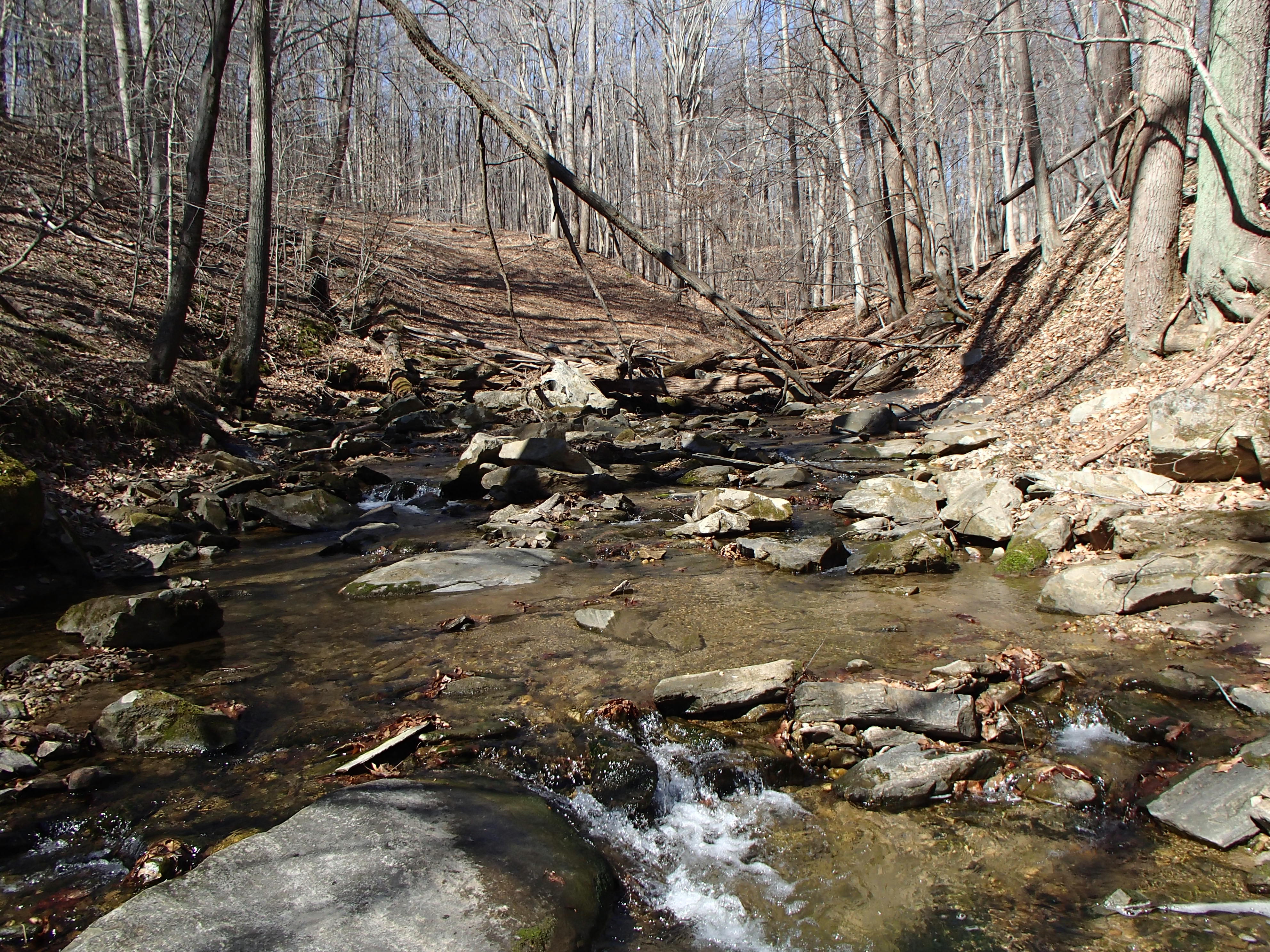 Field photo showing stream conditions at site PATL-112-X-2016_midpoint looking upstream